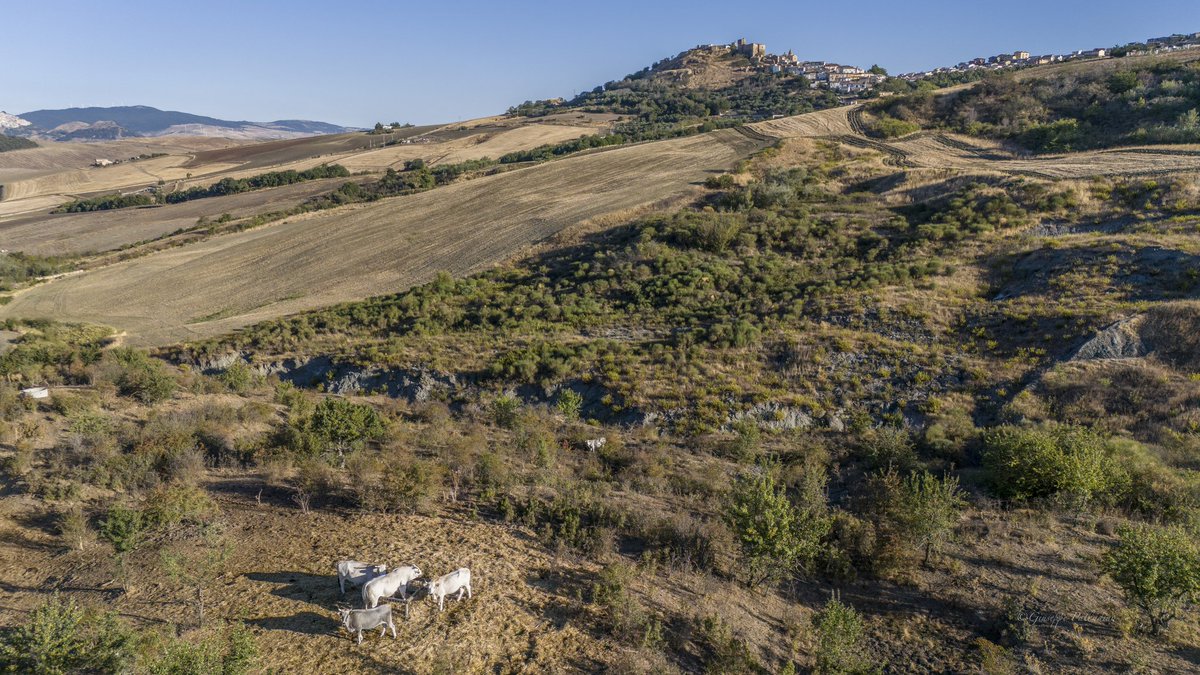 📸 I giorni si accorciano, i pensieri si allungano.

#GiuseppePalladino #gius01pal #WeAreInPuglia #RocchettaSantAntonio #25settembre  #VitaDiPaese #PaesaggiItaliani #RicordiDiInfanzia #PiccoliBorghi #BorghiDaVivere #ItaliaCheAmo #AngoliDItalia #PaesaggiDaFavola