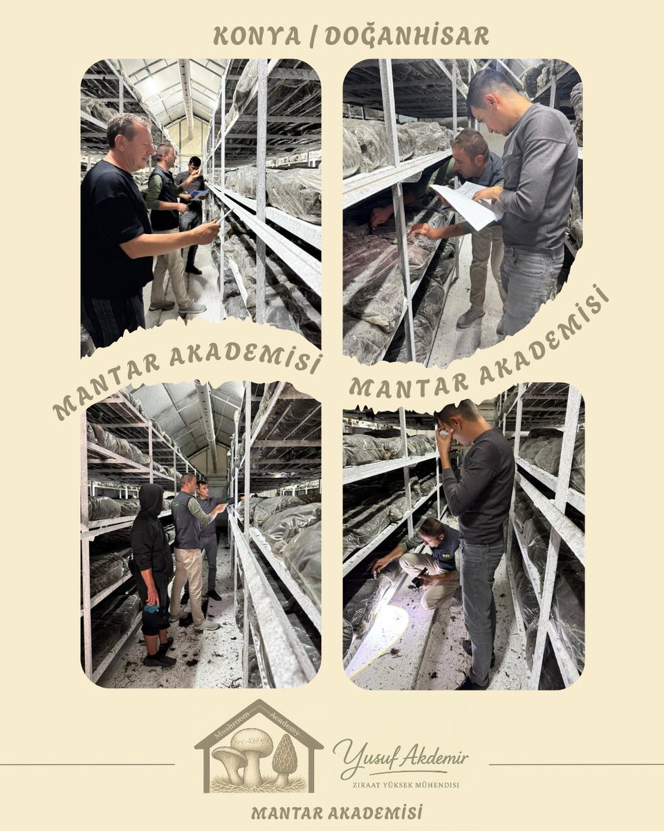 🍄Çalışmalarımız Devam Ediyor.🍄

📍#doğanhisar

Kültür Mantarı

MAŞALLAH 👏👏👏

Tüm Üreticilerimize Hayırlı Helal Bol Kazançlar Dilerim.

#mantar #mushroom #tarımşehri #tarım #konya