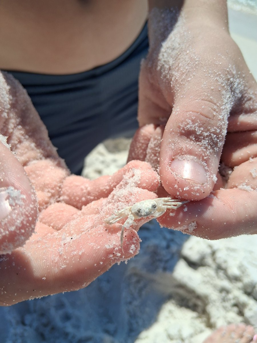 Heather See (@headtweets83) on Twitter photo 