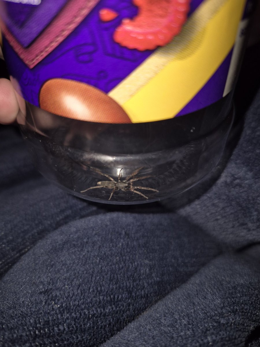 Update😁😁 IT'S GOING IN THE FREEZER IN THE MORNING TO DIE🔥🔥🔥