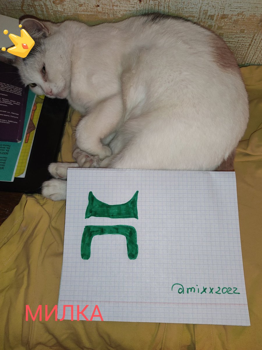 nataxa_777's tweet photo. In the first photo, Barsik is a curious explorer, always on the alert and looking for adventure. In the second photo, Milka is a gentle princess who adores comfort and peace.
@zen_chain @zenchainfam #zenpets https://t.co/i3dMFmCpg9