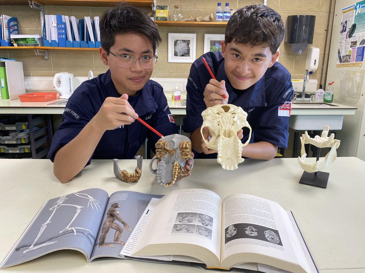 wellingtonsch1's tweet image. 🔎✨Adventures with Ardi! 

Our Human Evolution Society explored the 4.4m-year-old ancestor, uncovering how she walked on 2 legs🚶‍♀️&amp;amp; climbed trees. 

A unique Wellington programme sparking curiosity in evolution &amp;amp; beyond!💙 

#WellingtonSchool #HumanEvolution