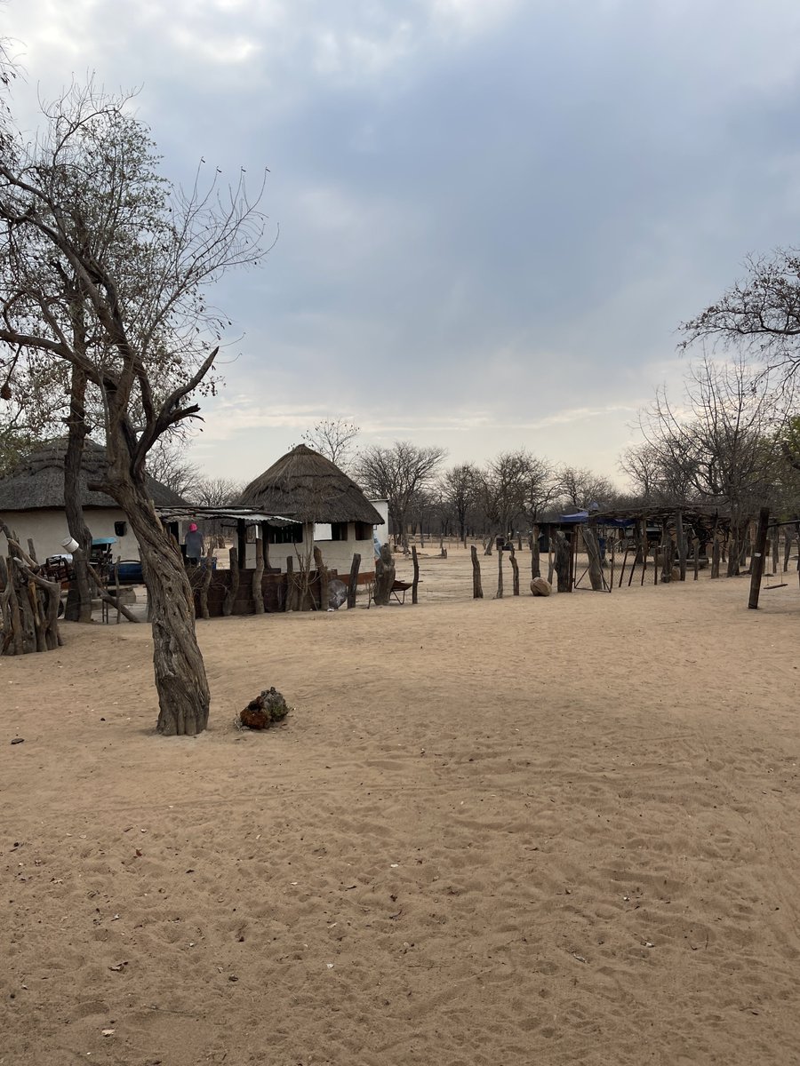 buhlebathabile's tweet photo. “Bush getaway” 🫩🫩🫩 https://t.co/0SmX41NiDK
