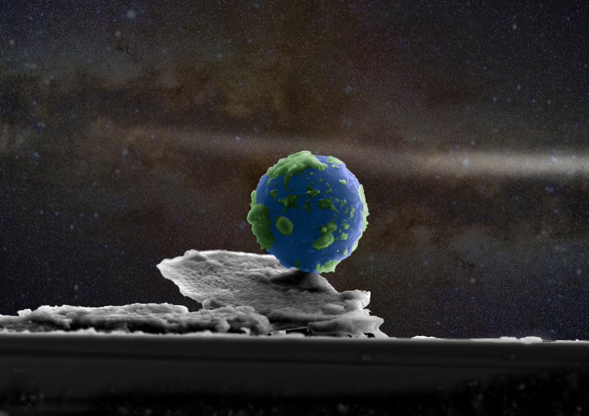 nuancecenter's tweet image. Our &quot;Art of Science&quot; Image Contest was just featured in Nautilus!  Explore the beauty of nanoscale research &amp;amp; vote for your favorite image by Sept 28. qrco.de/2025-vote
Read the article: nautil.us/a-nano-sized-a…
@ProfDravid @ResearchNU @NUChemistry #ScienceCommunication