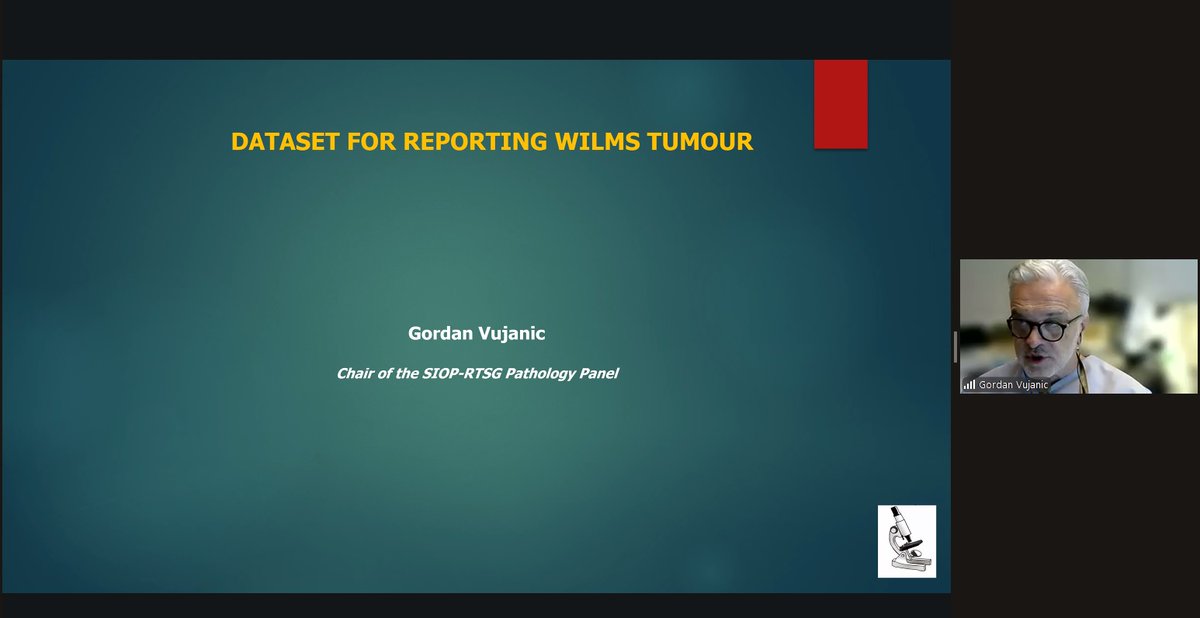 ProgramaTeleo's tweet image. 🔴 AHORA EN VIVO | Clase del Dr. Gordan Vujanic  Chair of the @WorldSIOP RTSG Pathology Panel sobre Bilateral Wilms tumour,  en el marco del Curso de Actualización en Patología de Tumores Renales Pediátricos.  ¡Súmate para actualizarte!  

teleosjd.org