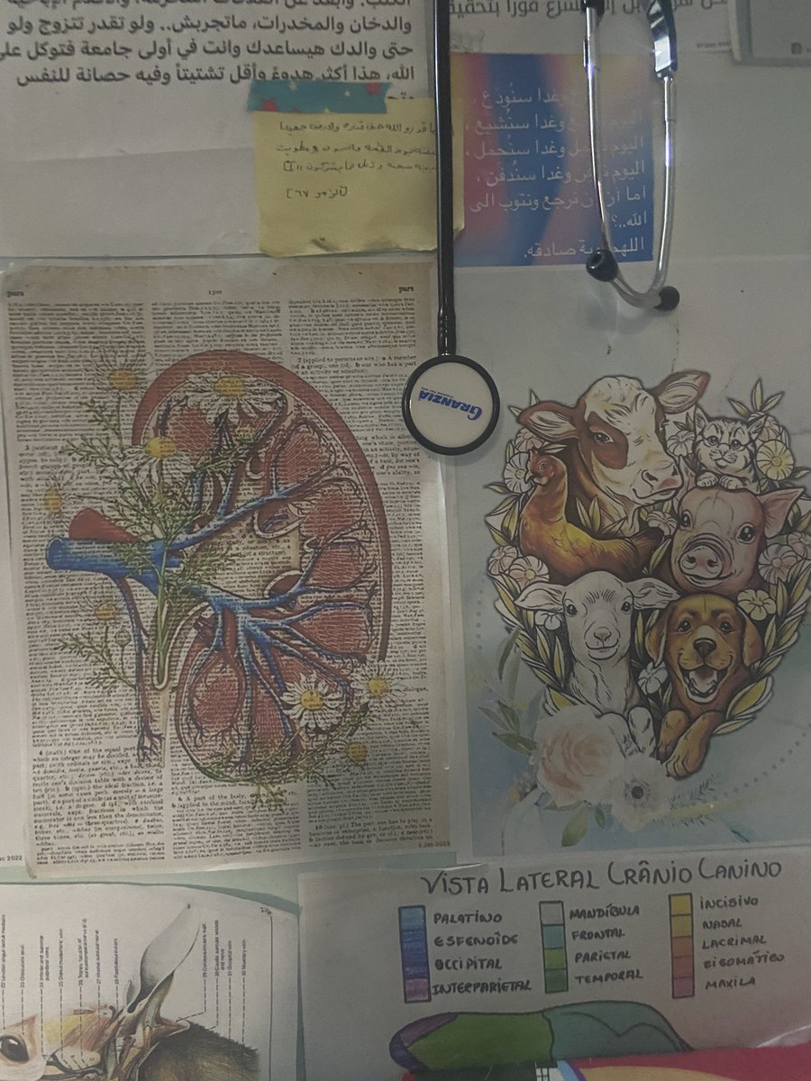 مساء الخير ❤️