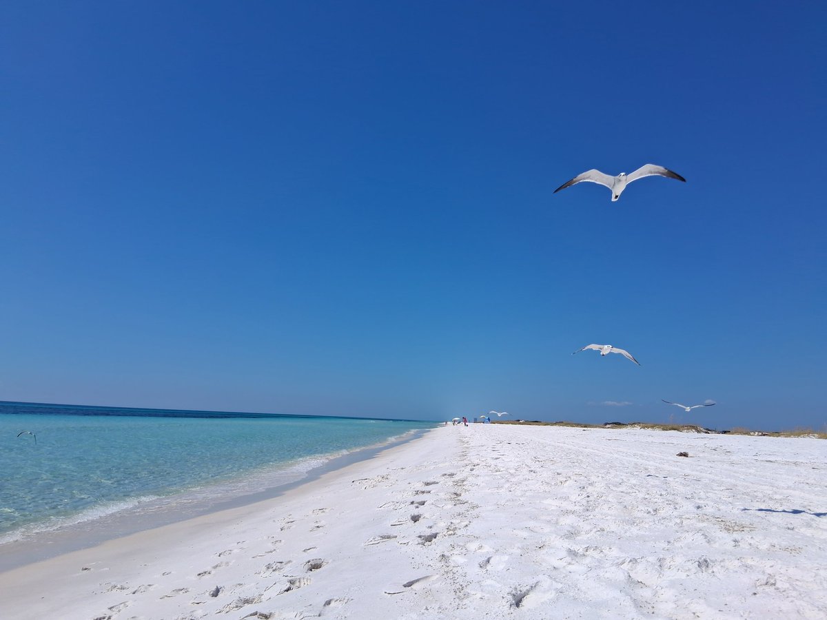 Heather See (@headtweets83) on Twitter photo 