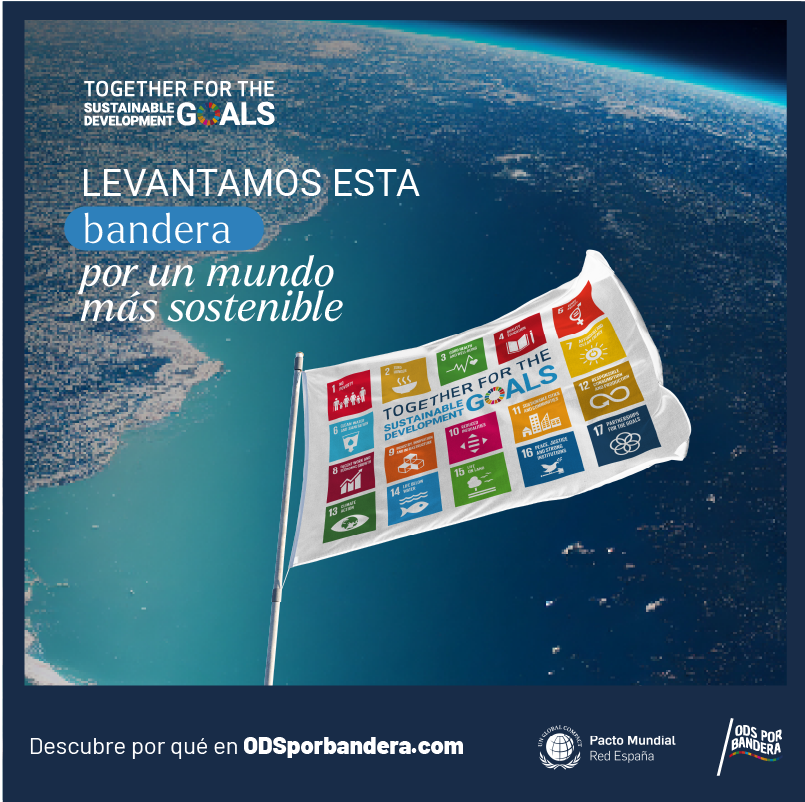 VirtualCable_'s tweet image. 🏳 En #VirtualCable ondeamos los #ODSporBandera en su 10º aniversario, junto al @PactoMundial de la ONU.

💻 Nuestras soluciones de #SmartDigitalWorkplace impulsan un futuro más verde y responsable, reduciendo huella de carbono y optimizando recursos TI.

#TogetherForTheSDGs