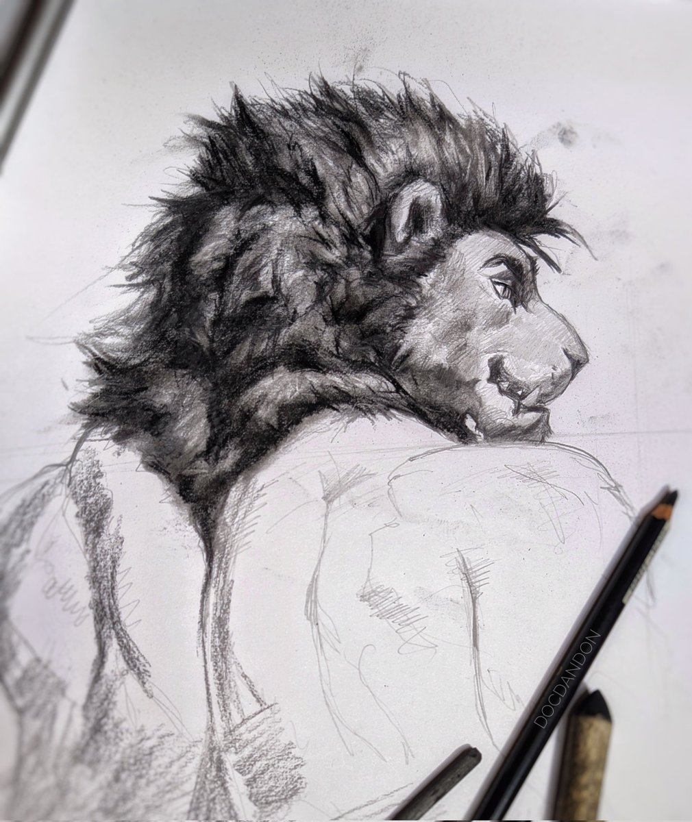 #Lion drawing in process - graphite &amp; charcoal on paper