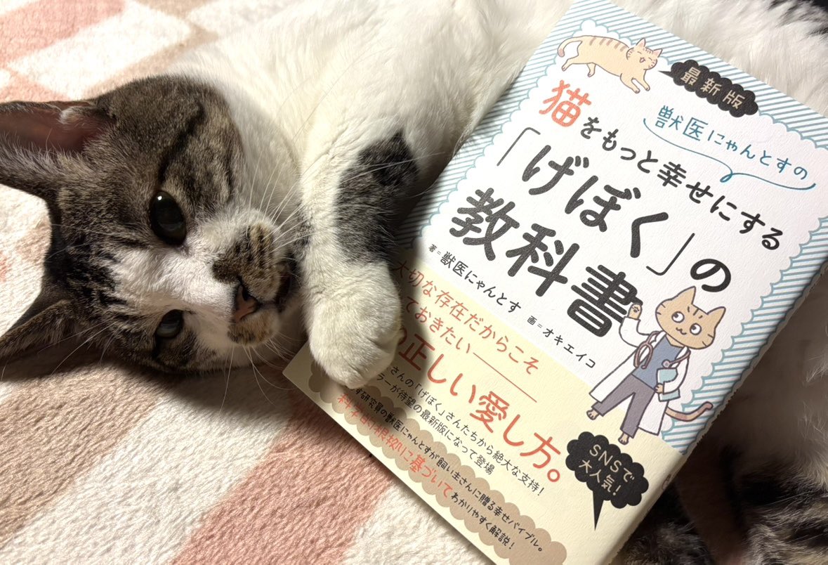 大好評のロングセラーが
最新版となって登場🐈🐾🐾

『最新版 獣医にゃんとすの
猫をもっと幸せにする
「げぼく」の教科書』

著　#獣医にゃんとす
画　#オキエイコ

猫と暮らす研究員である #にゃんとす先生 が「猫にとっての幸せ」を科学的根拠に基づいてわかりやすく解説
#げぼくの教科書 #猫
