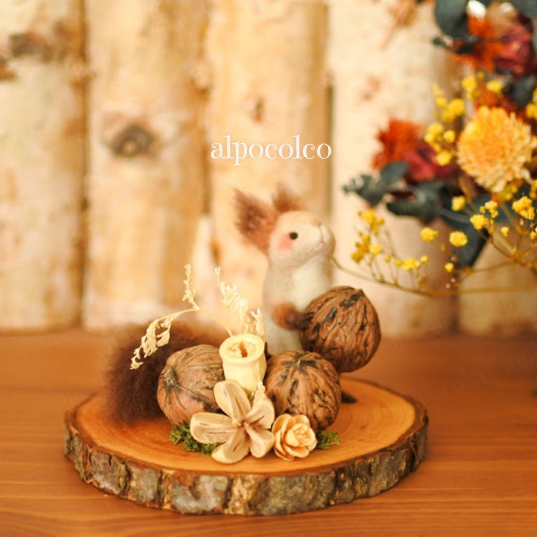 秋になりましたので来月エゾリスさんをヤフオク出品します！🐿️