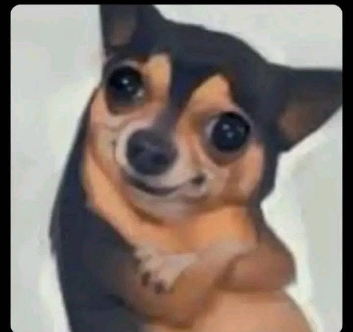 Juks_matu's tweet photo. Me after unlocking my 40kes five minutes savings from ziidi😅🥺 https://t.co/14im77e487