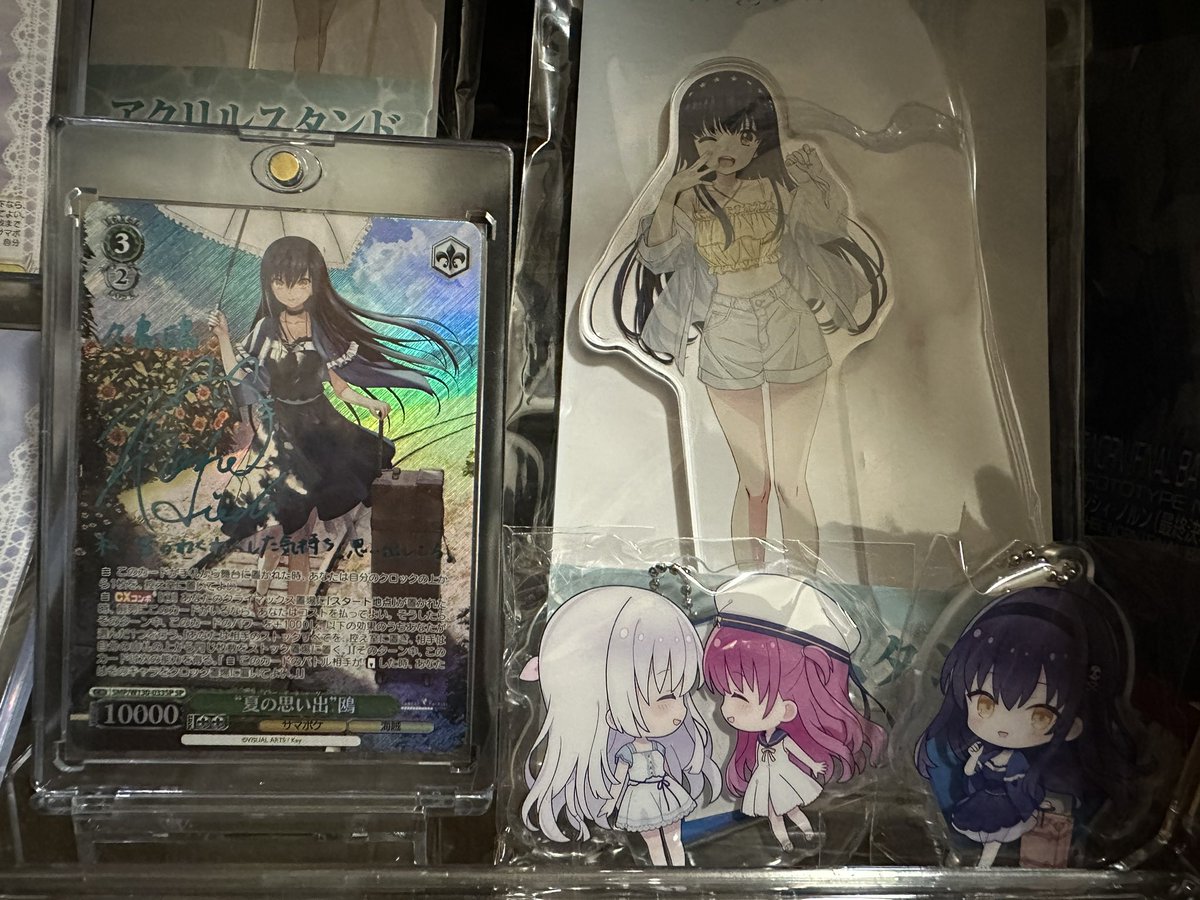 softman2342's tweet photo. アニメ終わるの寂しいけど楽しみもある…。
家の家宝を眺めながら最終回みます🥲

 #サマポケ
 #SummerPockets 
 #かもめぇー https://t.co/AHryd2o9CK
