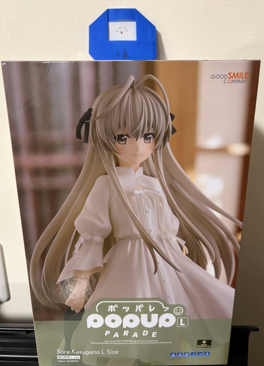 穹ちゃんのポッパレ、キタコレ😄
帰って来たら届いてた🙏