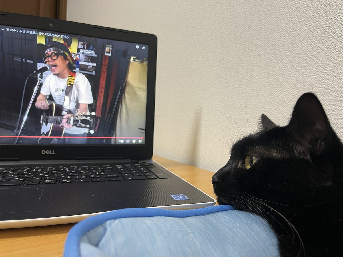 猫和太郎 on X: 
