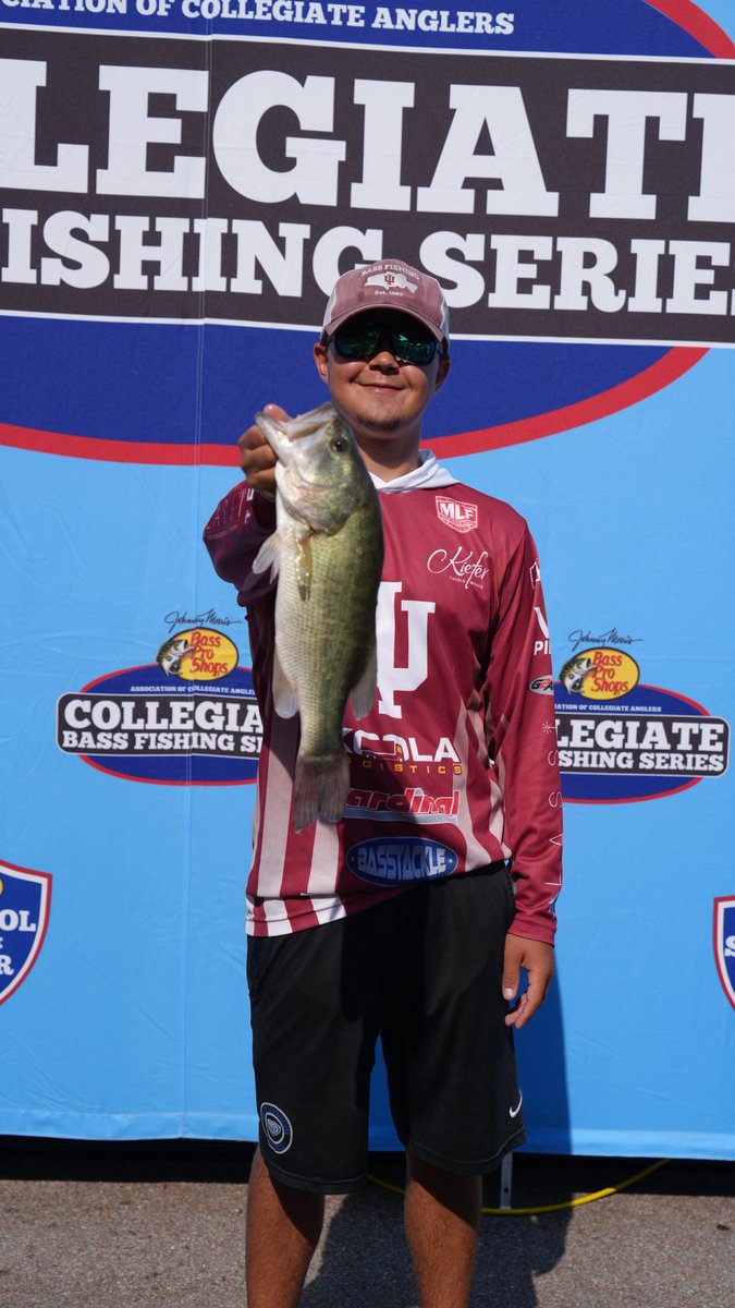 IUBassFishing's tweet photo. We sent 4 boats (8 anglers) to the @collegiatebass Big Bass Bash at Kentucky Lake which had a full field of 630 anglers. Here’s how we did!

Alex - 3.66 lbs 17th place Day 2 Session 1
Alex - 2.91 lbs 69th place Day 1 Session 4
Sampson - 2.10 lbs 103rd place Day 1 Session 4 https://t.co/fECPsEQFnU
