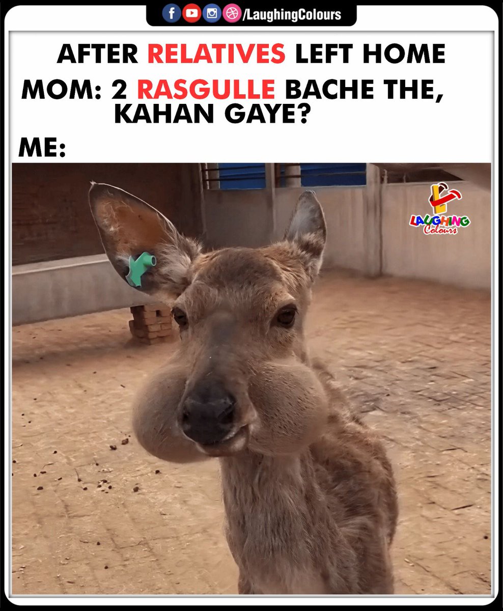 LaughingColours's tweet image. Rasgullas vanished mystery 🤭
#FunnyMeme #IndianMoments #RelatableHumor #RasgullaLove #FamilyJokes #DailyLaughs