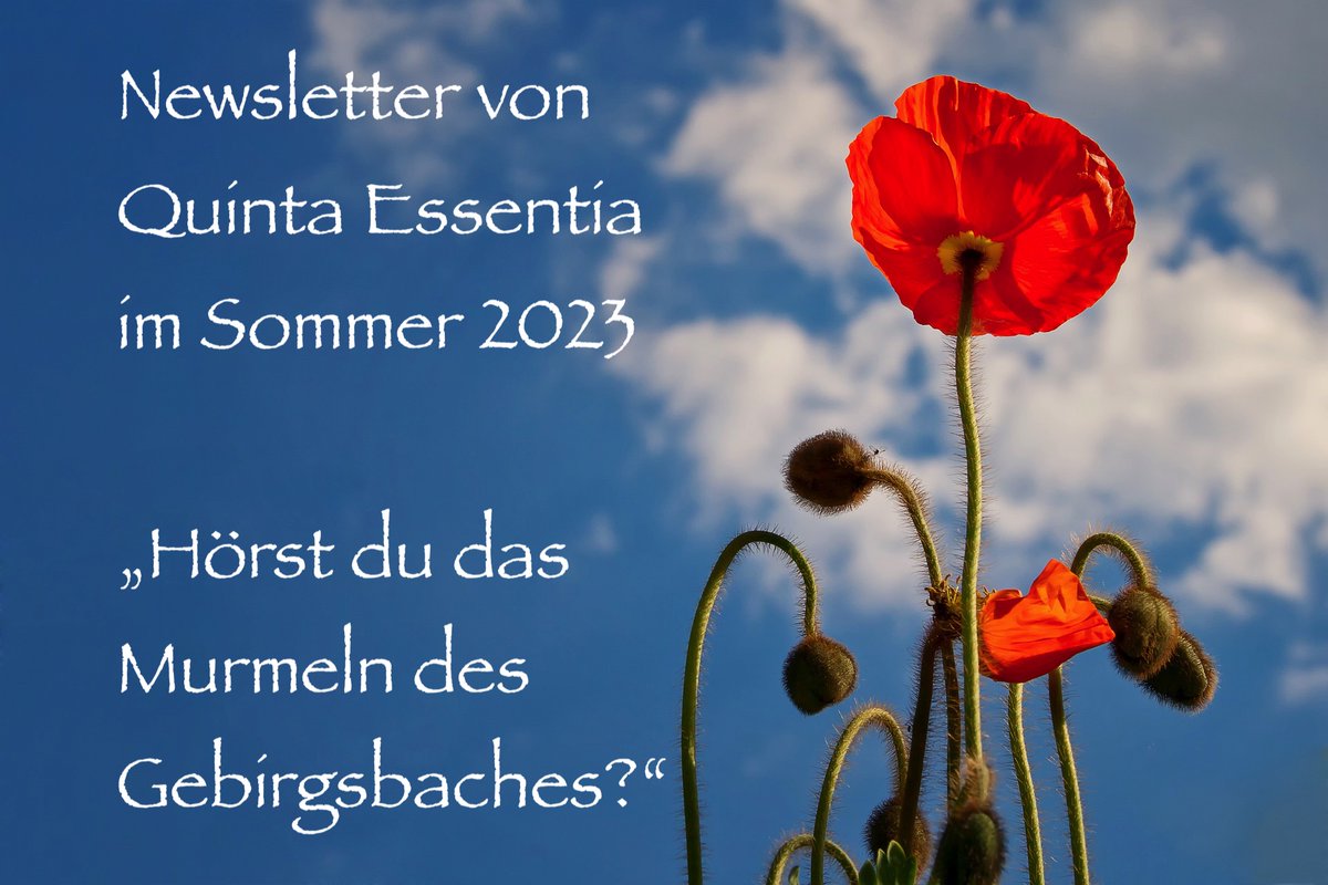 Zurück zu meinen Wurzeln ... - mailchi.mp/916bffb8e276/q…