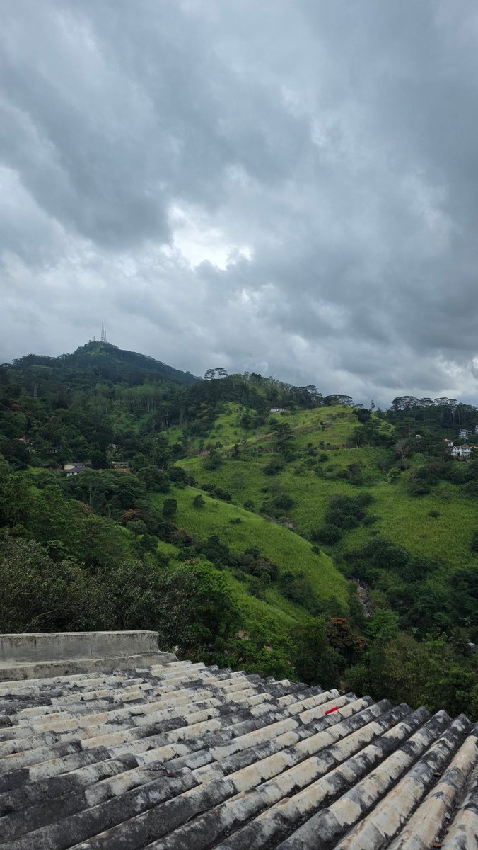 Shathir_N's tweet image. Views from somewhere in Hanthana.