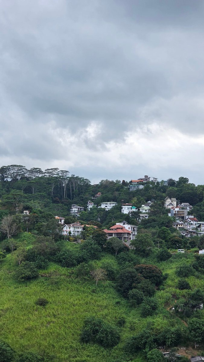 Shathir_N's tweet image. Views from somewhere in Hanthana.