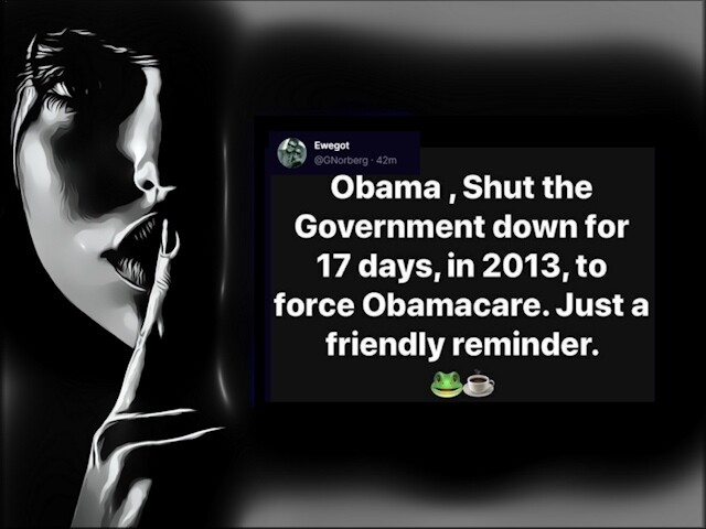 Acdoc88's tweet image. #ShutItDown 
#SaveAmerica