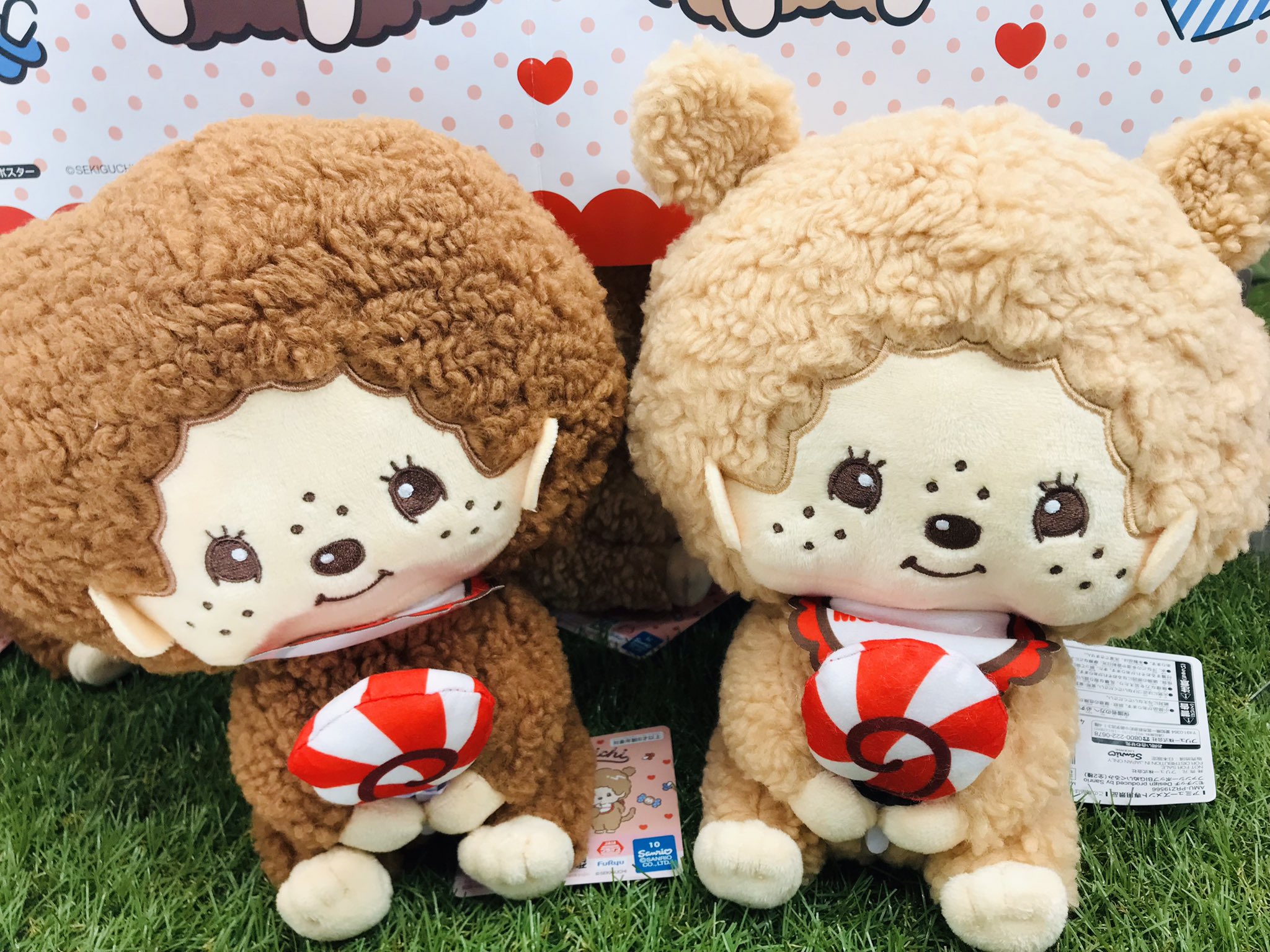 ぬいぐるみ HelloSDGsItoYokadoSENMONTENGAIHelloKitty 51Nb31N4bnL._UF894,1000_QL80_.jpg