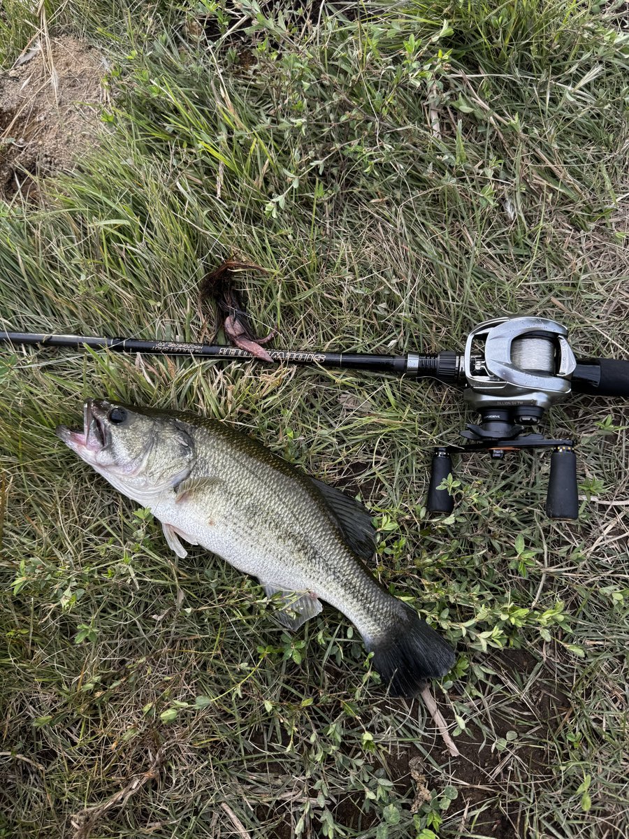 deps_max's tweet photo. ずっと気になってた近所の釣り堀が今月オープンしたみたいだから行ってみた
平日だったけど人がちらほら、
こばっちはプレッシャーがかかってる感じではあまり連発せず、
ジグ＆ポークの組み合わせで何とかアベレージ連発
〆はバズジェットで40upゲット
近所だし50upもいるみたいだから通ってみますか https://t.co/npX7bMT9fD