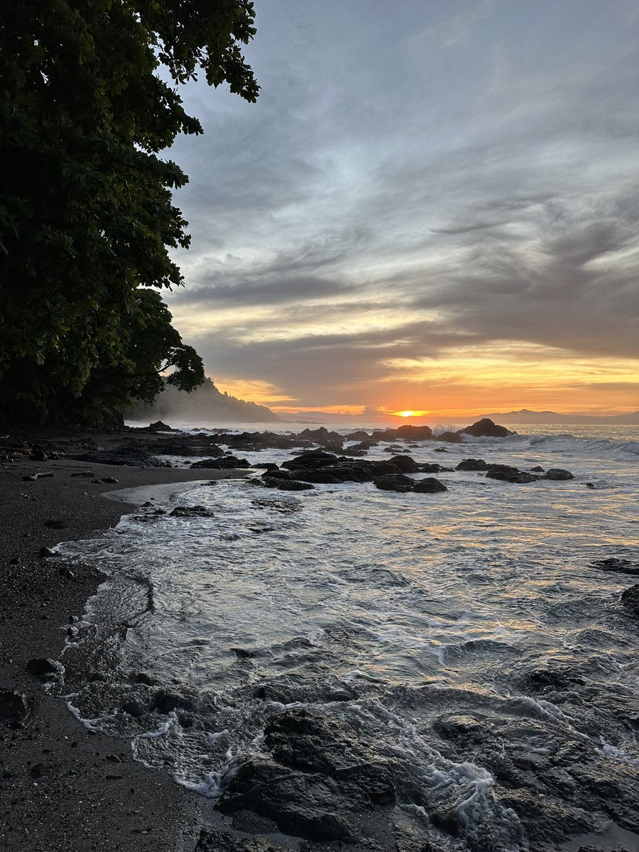 purplegumbo tweet media