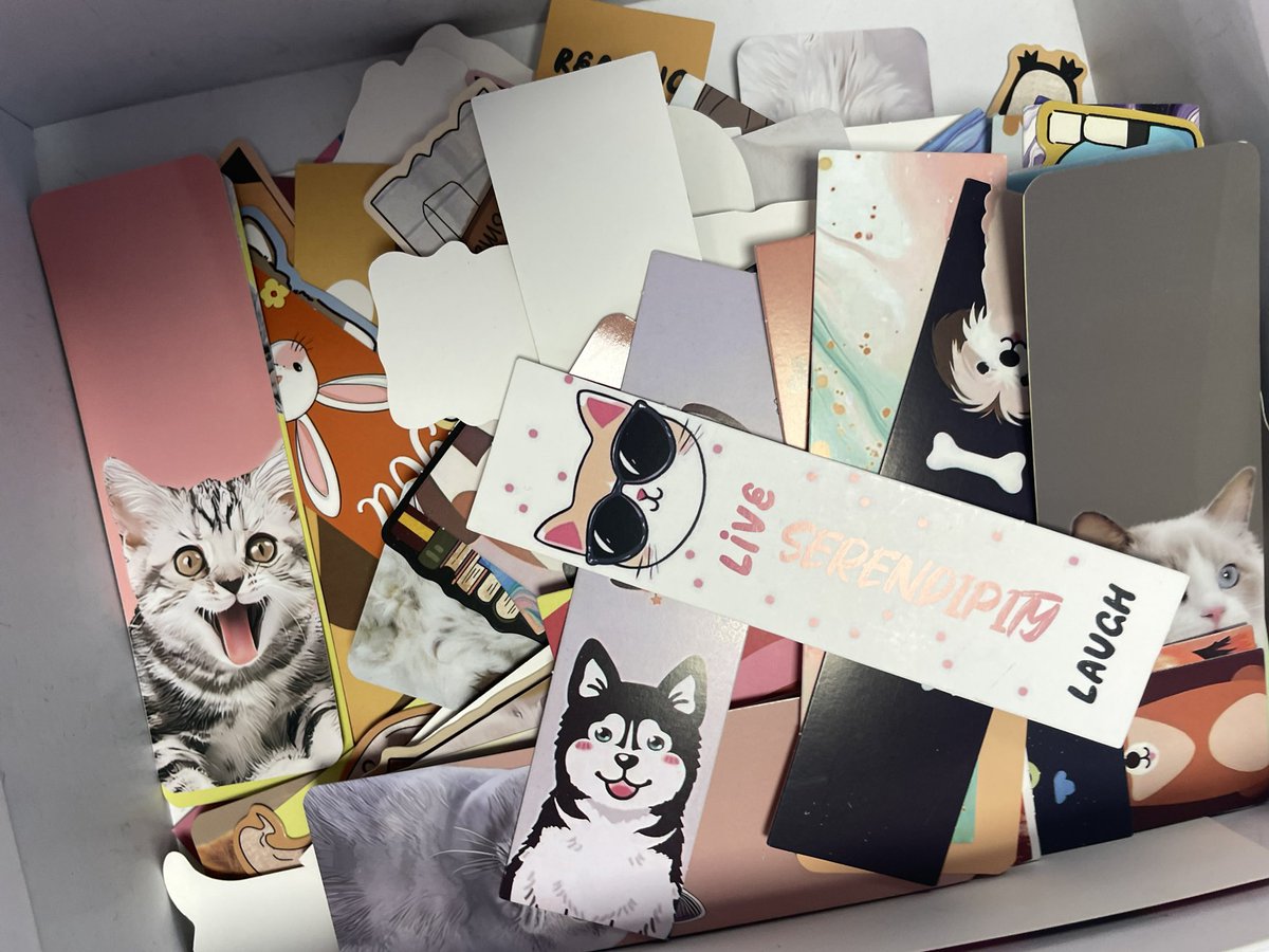 The joy of a bookmark. Year 7 struggled to choose.