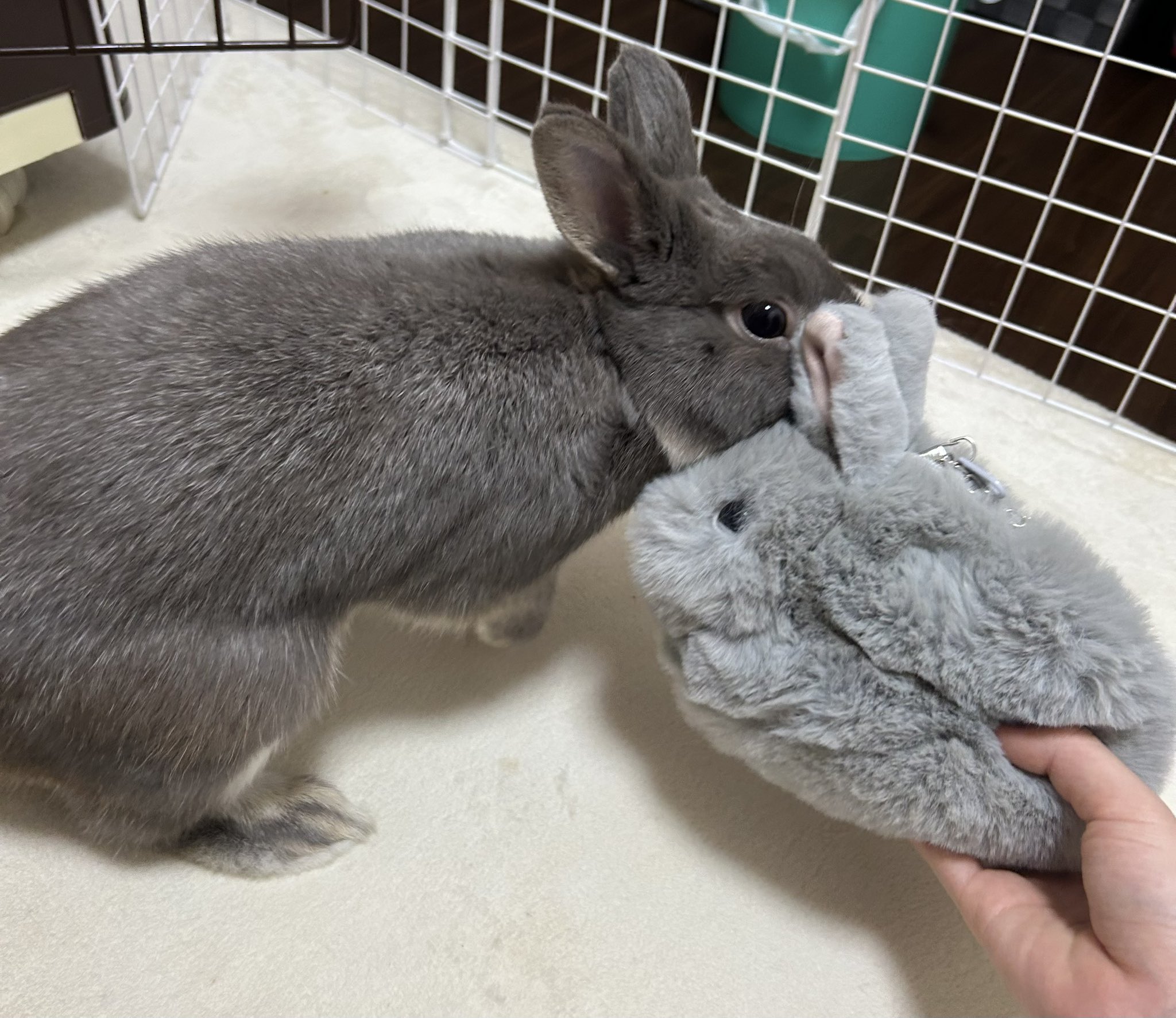 うさぎ ぶらぶらうさぎ - ARANZINET ONLINESHOP - アランジネット
