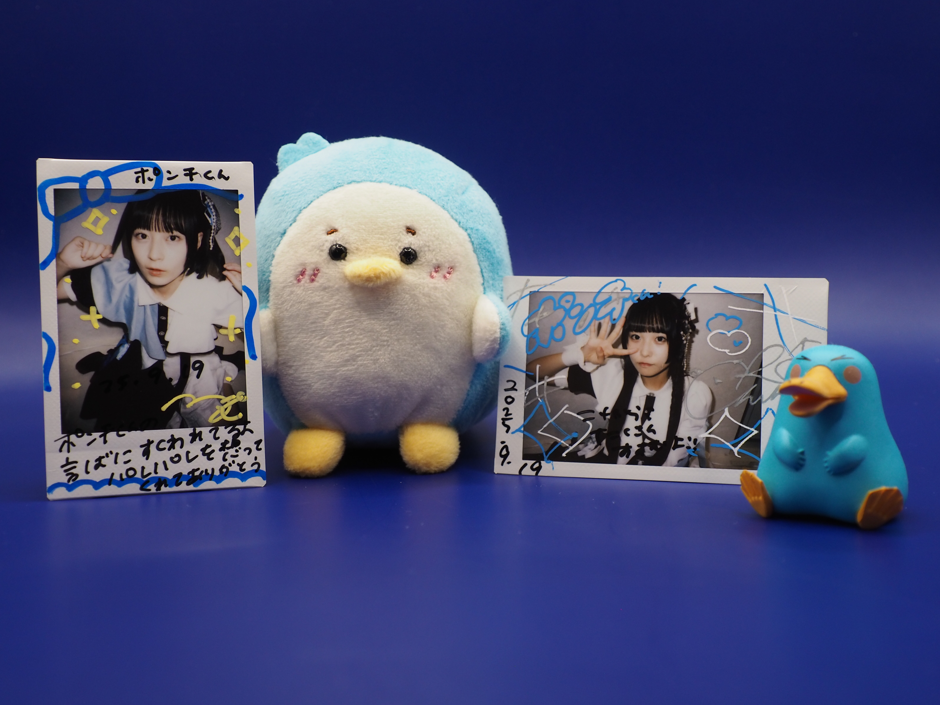 ポンチくん on X: 
