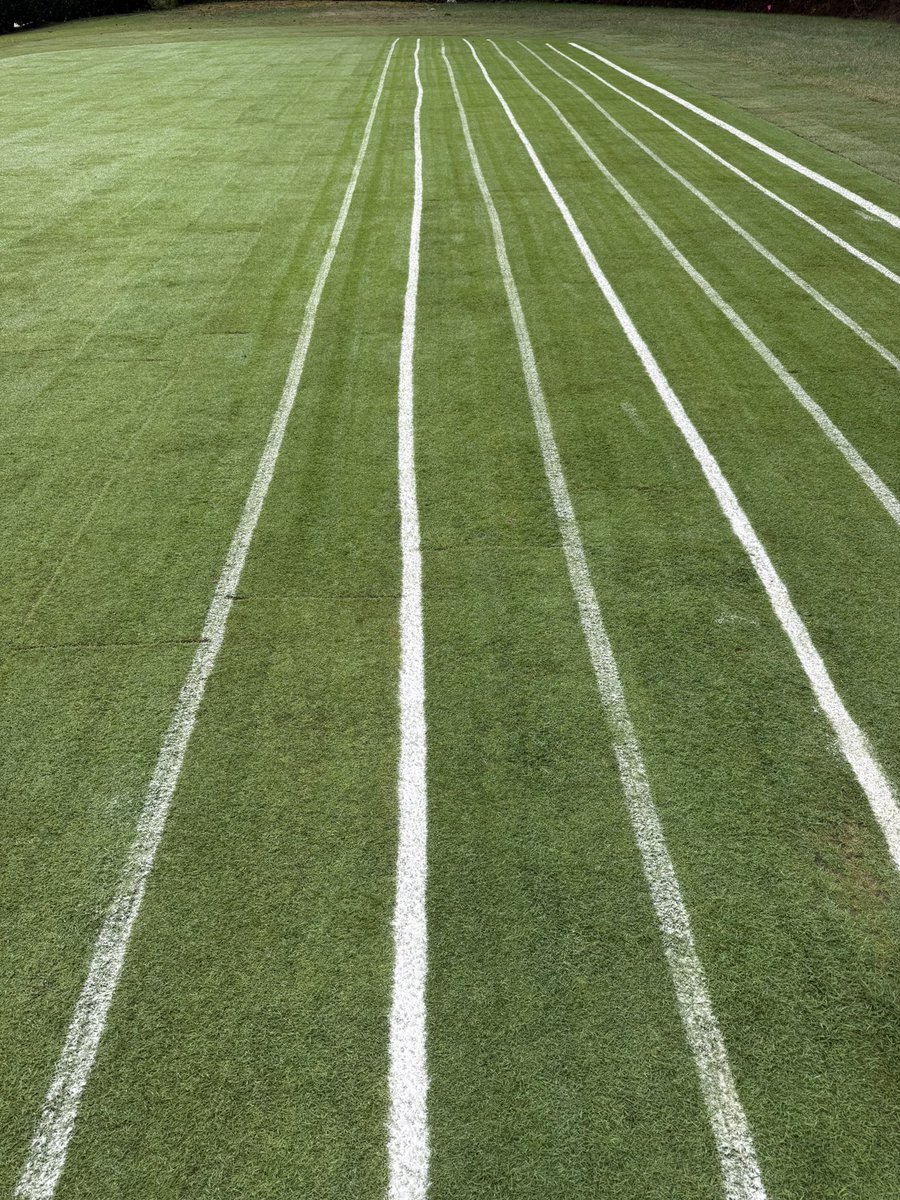 Professional Turfgrass Services tweet media