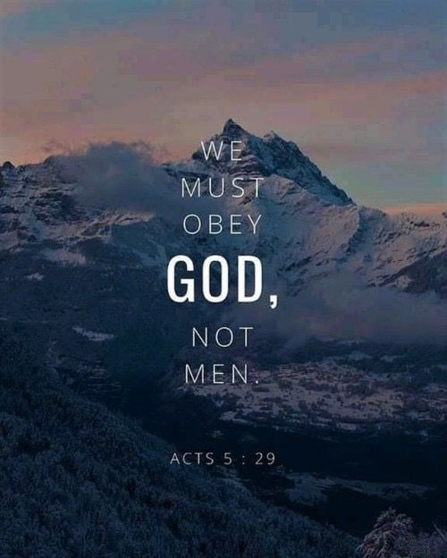 friartuc's tweet photo. Acts 5 
We must obey God rather than men. 
May the Spirit give us courage to witness, even in suffering.
Visit https://t.co/01byoTk22W
#ConcordiaSA #LoveServeShine #TheWORDforToday https://t.co/dy9qWZiaGo