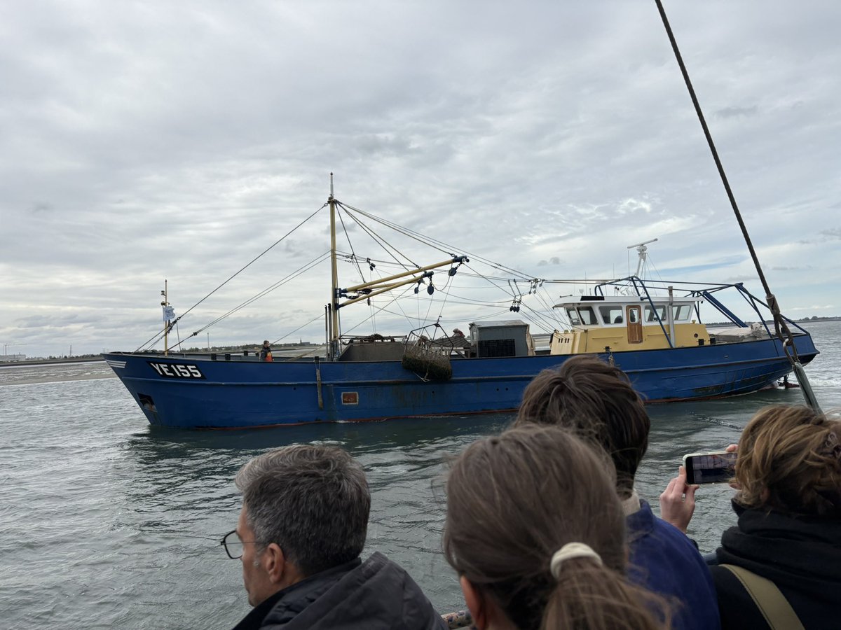 JoAnnesdeBat's tweet photo. Opening oesterseizoen 2025.
Een mooie traditie om aandacht te generen voor dit prachtige en lekkere Zeeuwse product.
#Zeeland #visserij #oester #schaalenschelpdieren https://t.co/CnnTjcDXEe