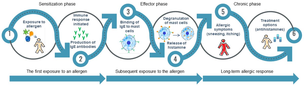 🔔#Allergies_MDPI Welcomes you to read our publication "Vitamins and Antioxidants in Plants: Are They Helpful in the Management of Allergies?" by Dr. Andreea D. ONA.

✅Link: brnw.ch/21wW5dK

#AllergyResearch #AllergicDisorders #Asthma #Rhinitis #Eczema #FoodAllergies