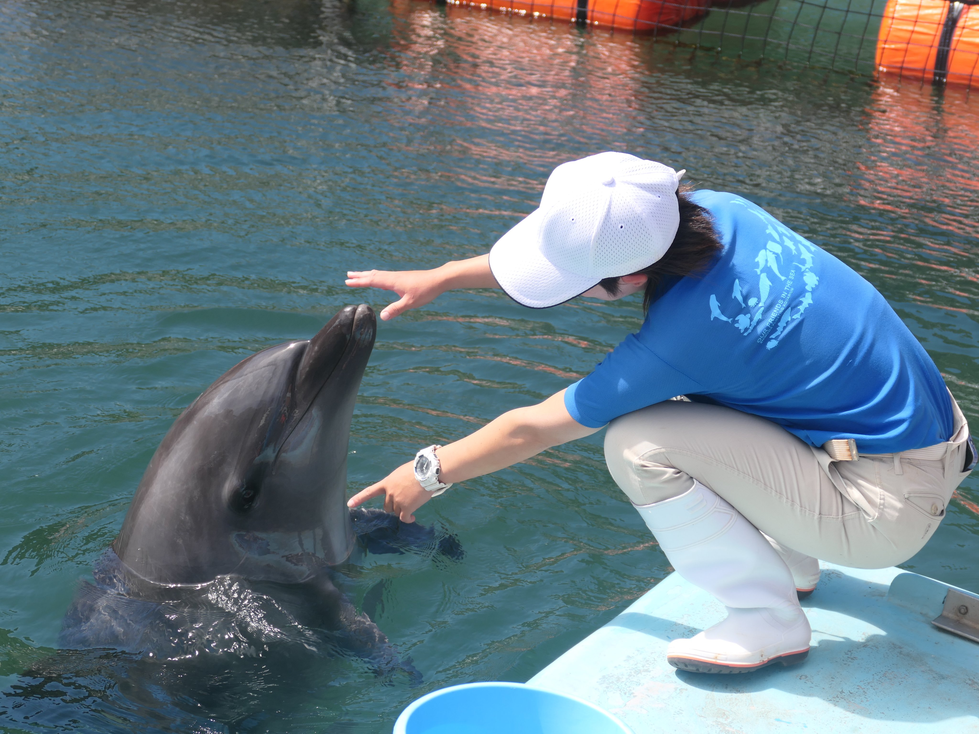 おきくらげ on X: 