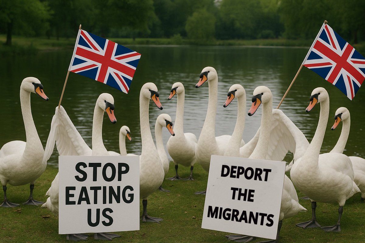 shiremoorpotter's tweet image. 'Save Our Swans' ........... 🦢🦢🦢🦢