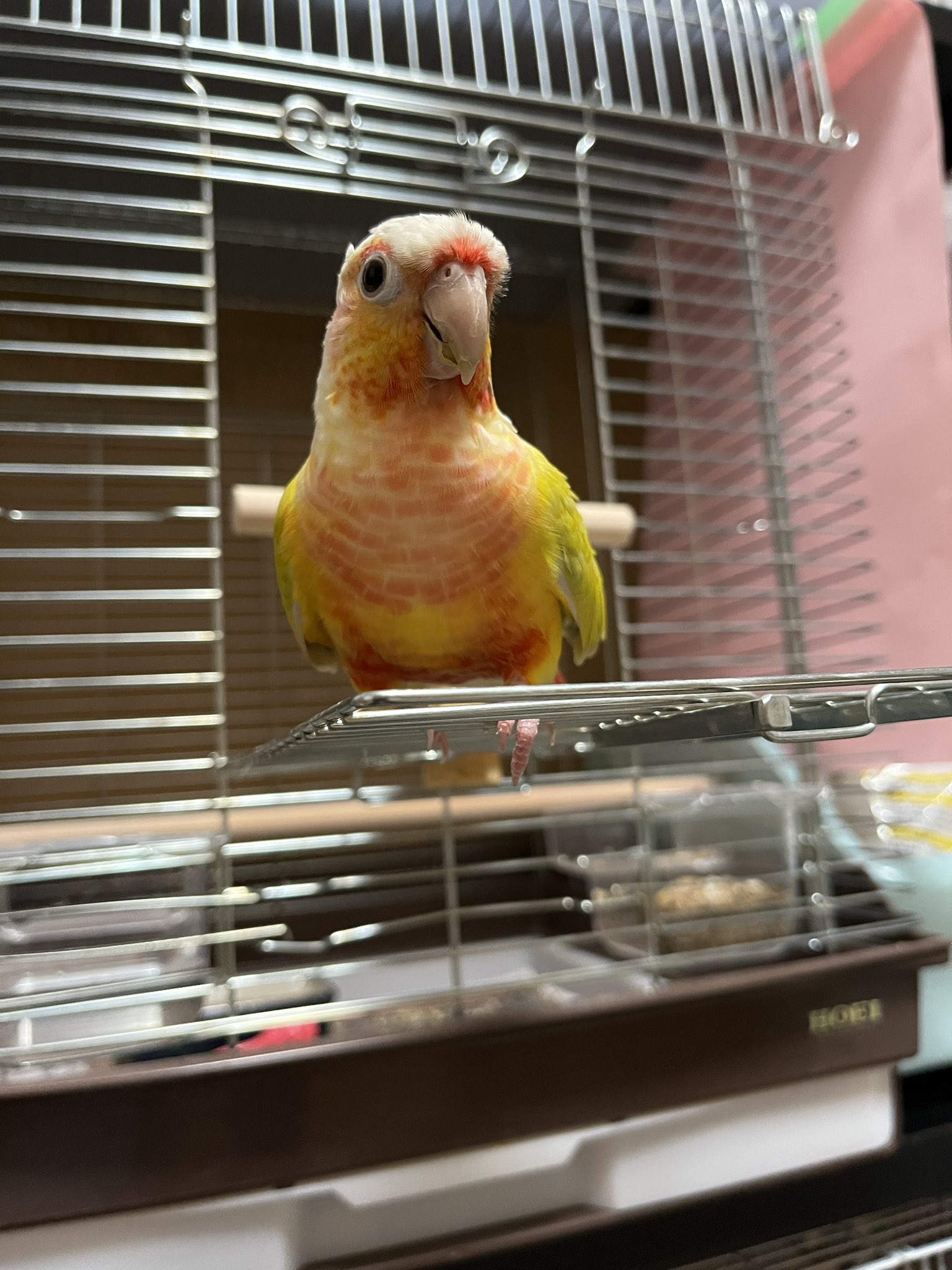 皆さん仲良くしたい Amazon.co.jp: とってもカワイイ私と付き合ってよ!2 (角川