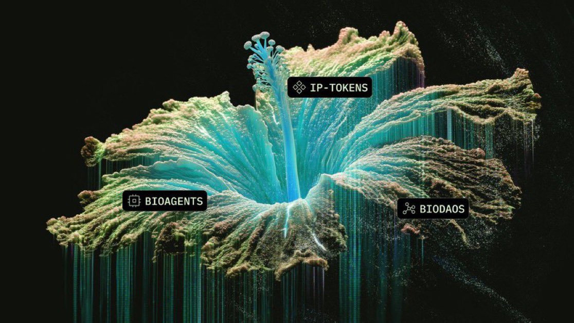 0xCurry 🎭 tweet media