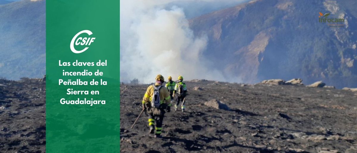 CSIFCLM's tweet image. 🔥 734 hectáreas arrasadas hasta el momento en #IFPeñalbadelaSierra = más de 1.000 campos de fútbol 

👉 Desde CSIF denunciamos que los recortes en la campaña de extinción y una nefasta gestión han sido claves en un incendio que no debería haber llegado a estas dimensiones

❌…