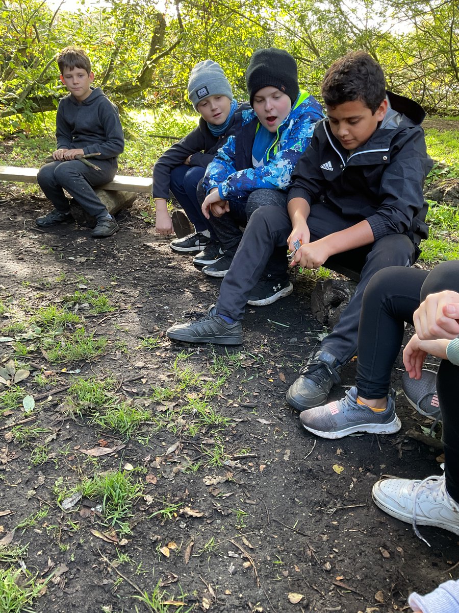 ChaseSidePrimary tweet media