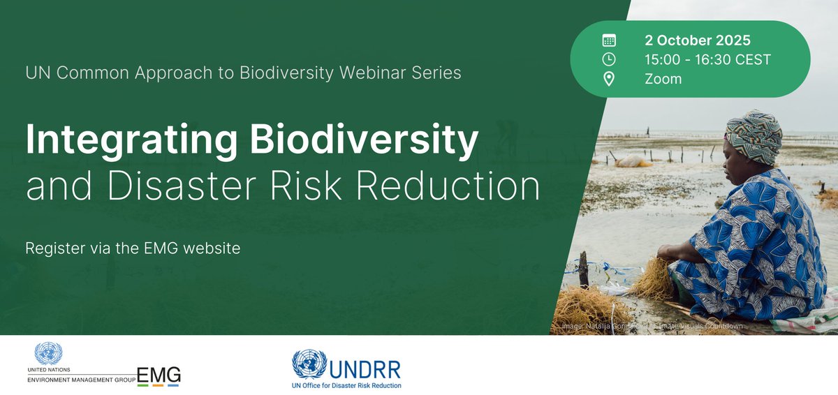 United Nations Environment Management Group tweet media