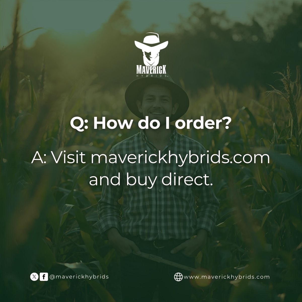 Straight answers, no fluff. At Maverick Hybrids, we believe farmers deserve clarity when it comes to seed.

Here’s what you’ve asked us most—and how we deliver. 🌽

What’s YOUR biggest seed-buying question? 
👉 Get answers + order direct: maverickhybrids.com