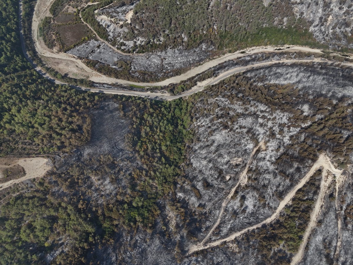 The White Helmets tweet media