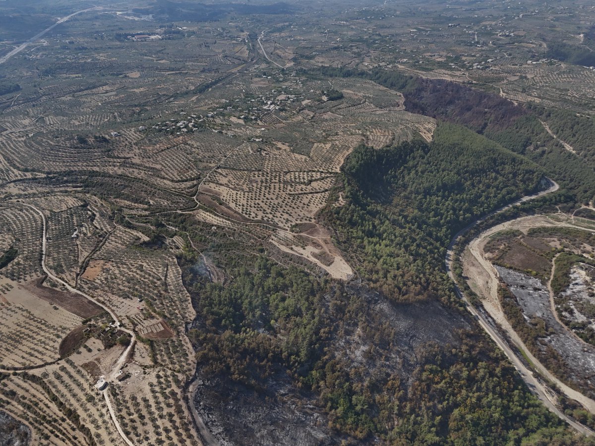 The White Helmets tweet media