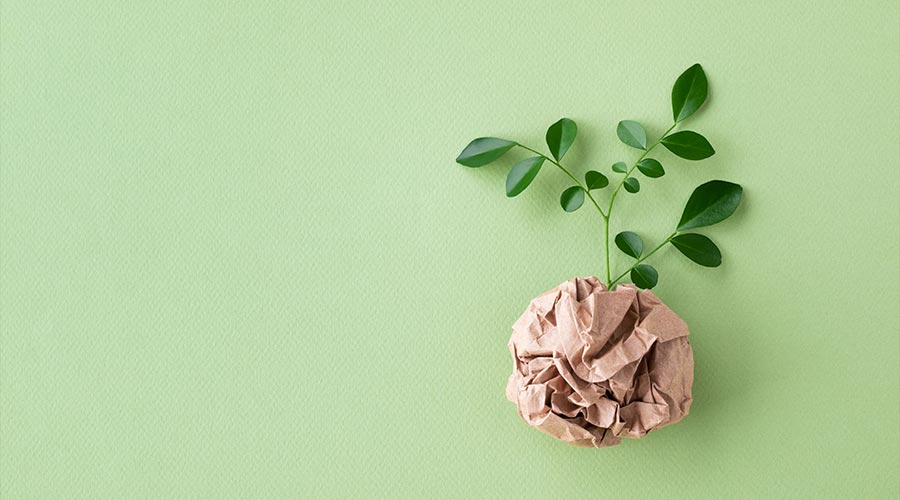 CleanLink News:  Sofidel Recognized for Commitment to Sustainability dlvr.it/TNHP2d Click to read more!