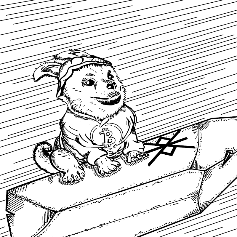 Is $DOG going to the moon? 🚀🌕