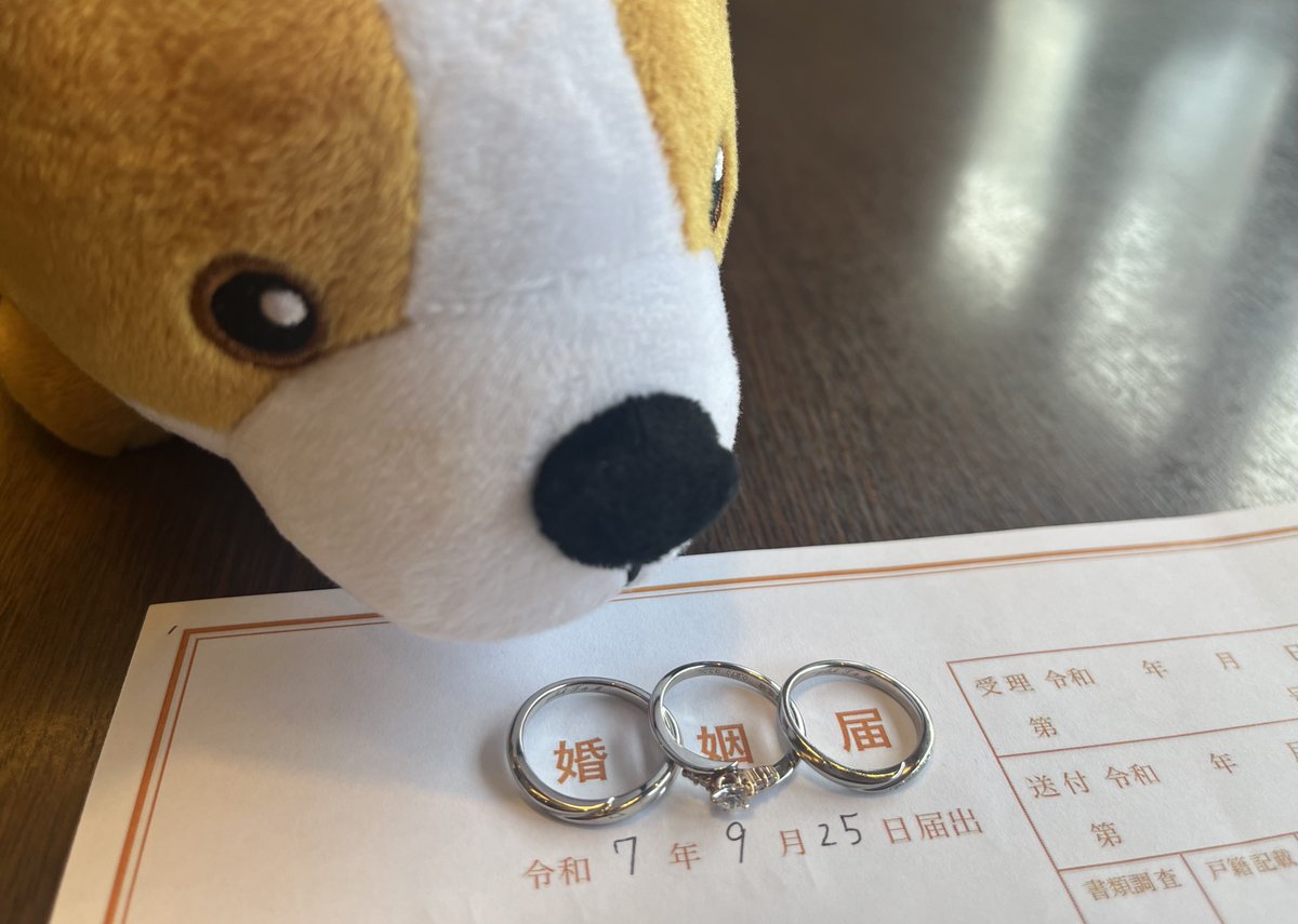 鮭山未菜美 tweet media