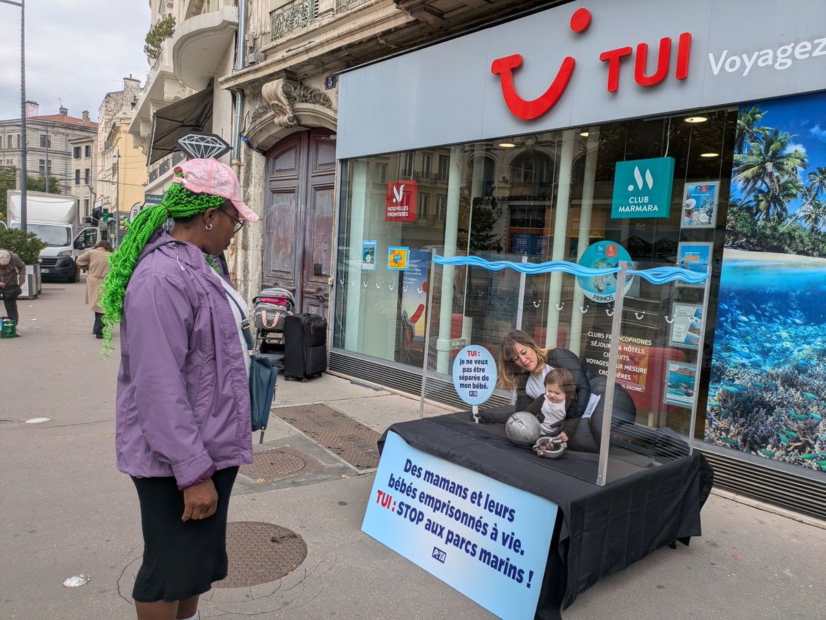 🚨🐬 Ce matin à Saint-Étienne, une militante de PETA et sa fille, déguisées en « orques », ont été « confinées » dans un minuscule bassin devant l'agence de voyage #TUI, afin de dénoncer la vente de billets pour des parcs marins comme Loro Parque !