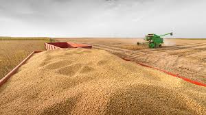 Ajedructor's tweet image. CapuKino pozo vacante! 
USD 7.000 millones extra!!
Y si esta semana te toca a vos?